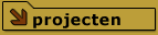 Projecten